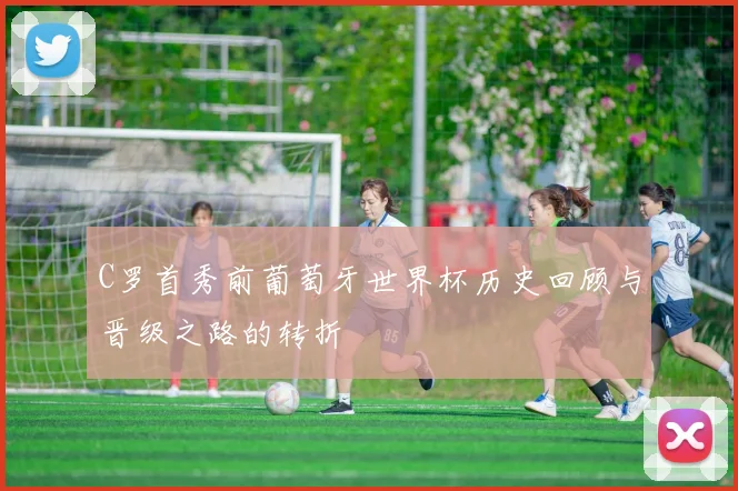 C罗首秀前葡萄牙世界杯历史回顾与晋级之路的转折