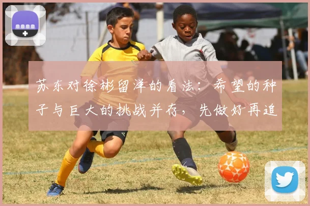 苏东对徐彬留洋的看法：希望的种子与巨大的挑战并存，先做好再追求完美